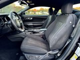 Used 2019 Ford Mustang Coupe w/ Equipment Group 101A image 3