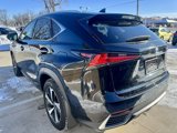Used 2021 Lexus NX 300h AWD w/ Premium Package image 5