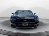 Used 2015 Ford Mustang GT Premium w/ Equipment Group 401A image 2