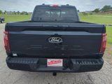 New 2025 Ford F150 XLT w/ Equipment Group 302A MID image 6