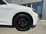 New 2025 Alfa Romeo Stelvio Tributo Italiano w/ Driving Assist Package image 4