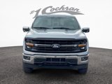 New 2025 Ford F150 XLT w/ Equipment Group 303A High image 2