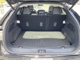 New 2025 Ford Mustang Mach-E Premium w/ Interior Protection Package image 5