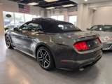 Used 2019 Ford Mustang Premium image 5
