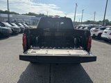 New 2025 Ford F150 XLT w/ Equipment Group 302A MID image 4