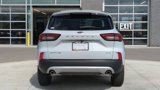 New 2025 Ford Escape Active w/ Cold Weather Package image 4
