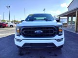 Used 2023 Ford F150 XLT w/ Equipment Group 302A High image 3