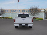 New 2025 Ford F150 STX w/ Equipment Group 200A image 5