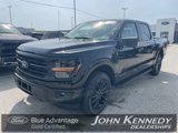 Certified 2025 Ford F150 XLT w/ Equipment Group 302A MID image 3