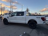 New 2025 Ford F150 Platinum w/ Equipment Group 702A High image 5