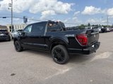 New 2025 Ford F150 Platinum image 4