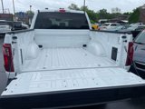 Used 2024 Ford F150 STX image 5