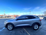 Used 2022 Ford Escape SE image 6