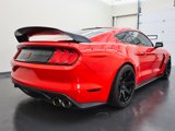 Used 2019 Ford Mustang Shelby GT350R w/ GT350R Equipment Group 920A image 3