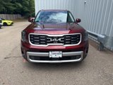 Used 2024 Kia Telluride SX Prestige image 2