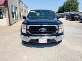 Used 2022 Ford F150 XLT w/ Equipment Group 301A Mid image 2