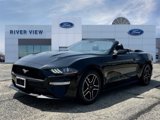 Used 2023 Ford Mustang Premium image 3