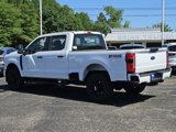 New 2025 Ford F250 XL image 5