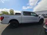 New 2025 Ford F150 XLT w/ Equipment Group 303A High image 5
