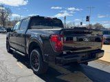 New 2025 Ford F150 XLT w/ Equipment Group 302A MID image 6