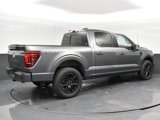 New 2025 Ford F150 Platinum w/ Equipment Group 702A High image 6