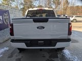 New 2025 Ford F150 STX w/ Equipment Group 200A image 4