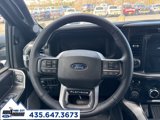 New 2025 Ford F150 Platinum w/ Equipment Group 702A High image 6