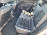 New 2025 Honda Prologue Touring image 6