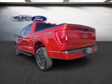 Used 2023 Ford F150 XLT w/ Equipment Group 302A High image 3