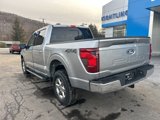 New 2025 Ford F150 XLT w/ Equipment Group 302A MID image 5