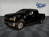 New 2025 Ford F150 XLT w/ Equipment Group 303A High image 3