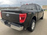 Certified 2023 Ford F150 XLT image 4