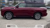 Certified 2025 INFINITI QX80 Sensory image 5