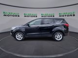 Used 2019 Ford Escape SE image 5