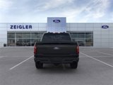 New 2025 Ford F150 XLT w/ Equipment Group 303A High image 5
