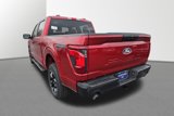 New 2025 Ford F150 STX image 4