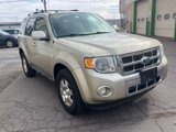 Used 2012 Ford Escape Limited image 2
