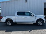 New 2025 Ford F150 XLT w/ Equipment Group 302A MID image 2