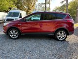 Used 2014 Ford Escape Titanium image 2