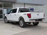 New 2025 Ford F150 XLT w/ Equipment Group 303A High image 5