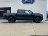 New 2025 Ford F150 XLT w/ Equipment Group 302A MID image 3