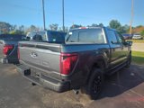 New 2024 Ford F150 XLT w/ Equipment Group 302A MID image 4