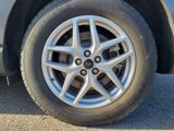 Used 2024 Ford Edge SEL image 6
