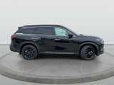 New 2025 INFINITI QX60 Luxe w/ Black Edition image 3