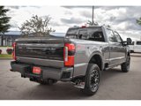 New 2025 Ford F250 Platinum image 5