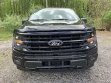 New 2025 Ford F150 XLT image 3