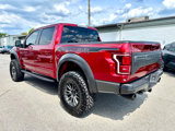 Used 2019 Ford F150 Raptor w/ Equipment Group 802A Luxury image 4