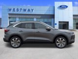 New 2025 Ford Escape Platinum image 3