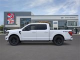 New 2025 Ford F150 XLT w/ Equipment Group 302A MID image 3