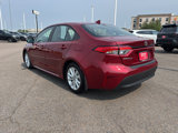 Used 2025 Toyota Corolla LE image 3